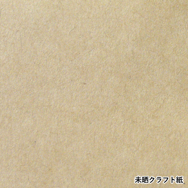 クラフトバッグ 小ミニ（SNS-1100015）未晒クラフト紙