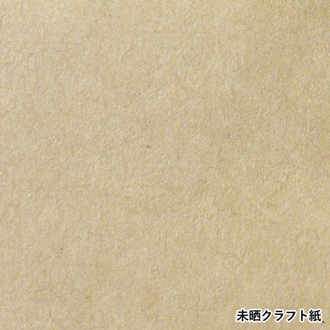 クラフトバッグ 小ミニ（SNS-1100015）未晒クラフト紙