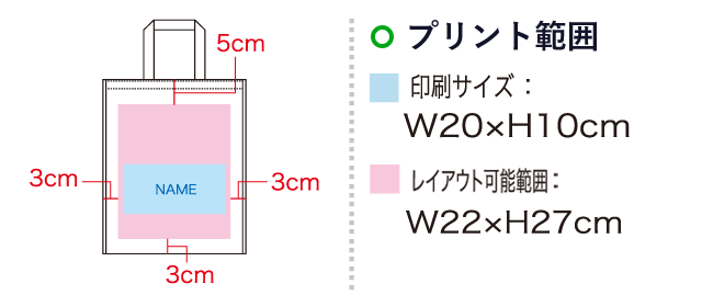 ビズソフトバッグ TG-A4（SNS-1100023）名入れ画像　印刷サイズ：W20×H10cm　レイアウト可能範囲：W22×H27cm