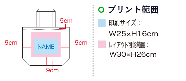 厚手コットンバッグ　トート（L）（SNS-1100063）名入れ画像　印刷サイズ：W25×H16cm　レイアウト可能範囲：W30×H26cm