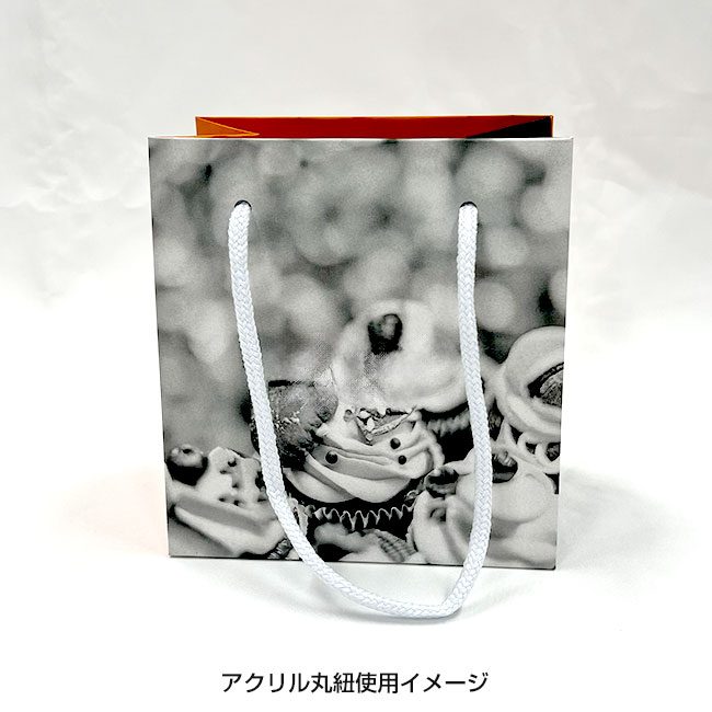【1000枚まで受付】全面フルカラーオリジナル紙袋　W150×D100×H160mm（SNS-1100116）アクリル丸紐使用イメージ