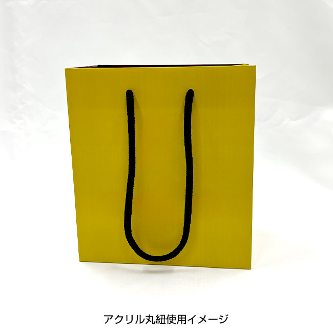 【1000枚まで受付】全面フルカラーオリジナル紙袋　W180×D105×H200mm（SNS-1100117）アクリル丸紐使用イメージ