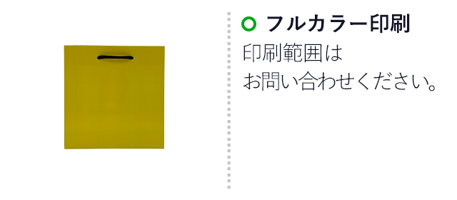 【1000枚まで受付】全面フルカラーオリジナル紙袋　W180×D105×H200mm（SNS-1100117）名入れ画像　フルカラー印刷　印刷範囲はお問い合わせください。