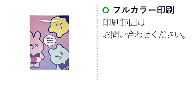 【1000枚まで受付】全面フルカラーオリジナル紙袋　W180×D70×H250mm（SNS-1100119）名入れ画像　フルカラー印刷　印刷範囲はお問い合わせください。