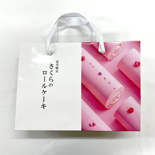 【1000枚まで受付】全面フルカラーオリジナル紙袋　W250×D90×H180mm（SNS-1100121）紙袋本体