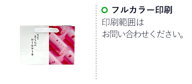 【1000枚まで受付】全面フルカラーオリジナル紙袋　W250×D90×H180mm（SNS-1100121）名入れ画像　フルカラー印刷　印刷範囲はお問い合わせください。