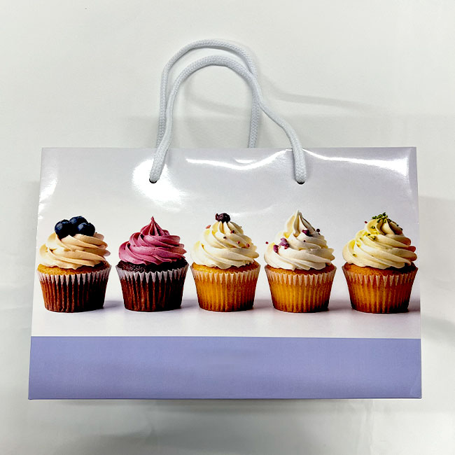 【1000枚まで受付】全面フルカラーオリジナル紙袋　W280×D120×H180mm（SNS-1100123）紙袋本体