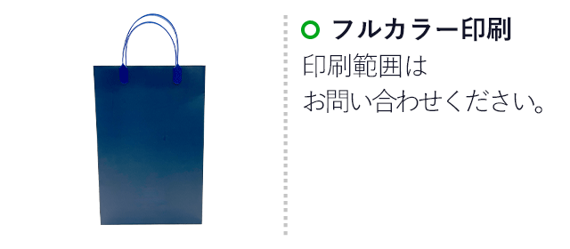 【1000枚まで受付】全面フルカラーオリジナル紙袋　W230×D80×H350mm（SNS-1100125）名入れ画像　フルカラー印刷　印刷範囲はお問い合わせください。