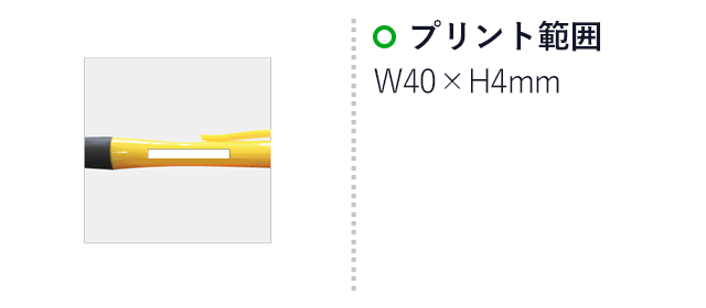 イタリアンボールペン(SNS-0100068)名入れ画像　印刷範囲　W40×H4mm