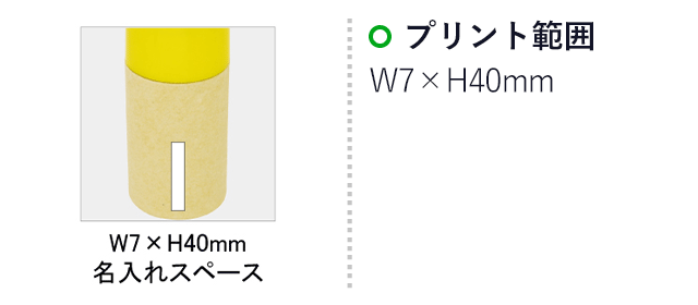 カラーペンシル１２Ｐ（シャープナー付）(SNS-0100073)名入れ画像　印刷範囲　W7×H40mm