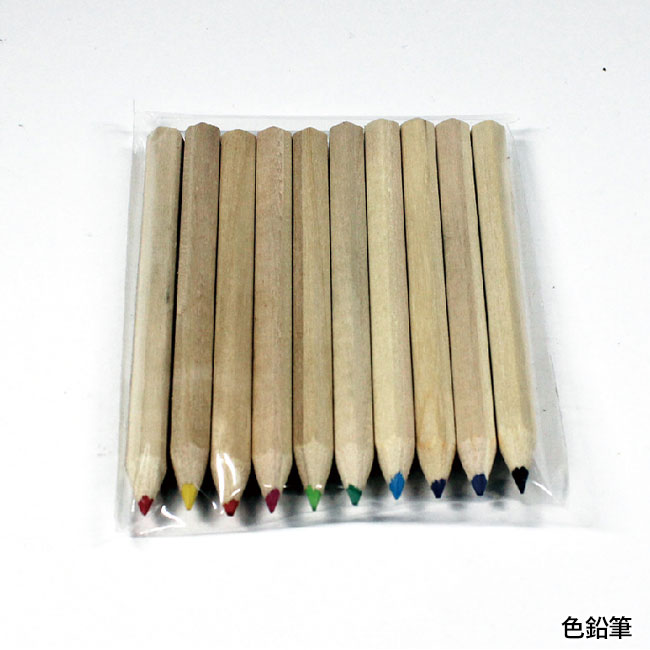 クレヨン＆色鉛筆19Pセット(SNS-0100076)色鉛筆