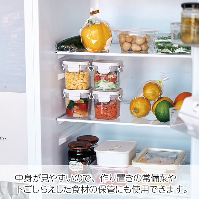 保冷剤付フードコンテナー（SNS-0100152）中身が見えやすく、食材の保管にも