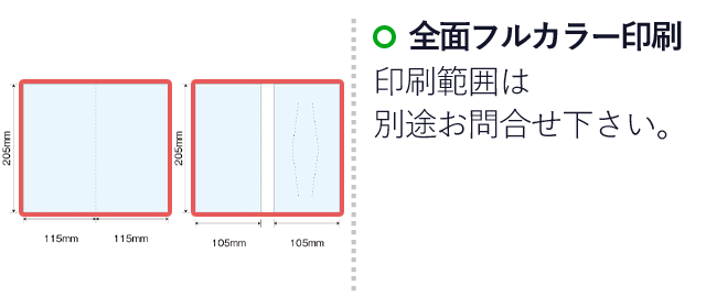 ＰＶＣ抗菌マスクケース 2ポケットタイプ(SNS-SW-PP2)名入れ画像 　フルカラー印刷