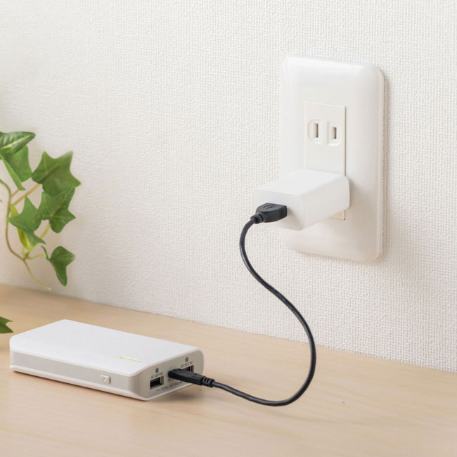 USB充電器（2A）（ACA-IP87）使用イメージ