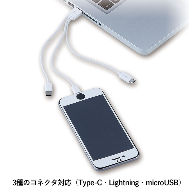 カラビナ付きボトル入りUSB充電ケーブル(sd195062)3種のコネクタ対応（Type-C、Lightning、microUSB）