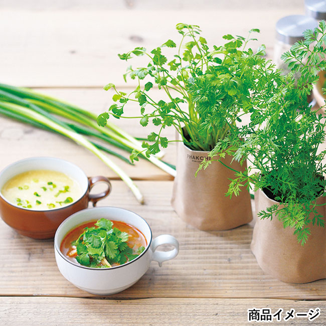 育てるスープちょこっと野菜作りキット(SNS-060080)商品イメージ