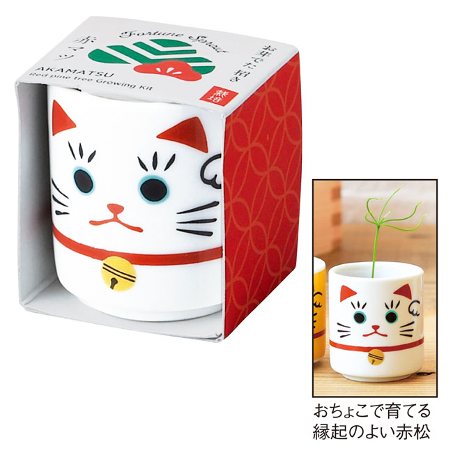 お芽でたおちょこ招き 白（SNS-0600234）