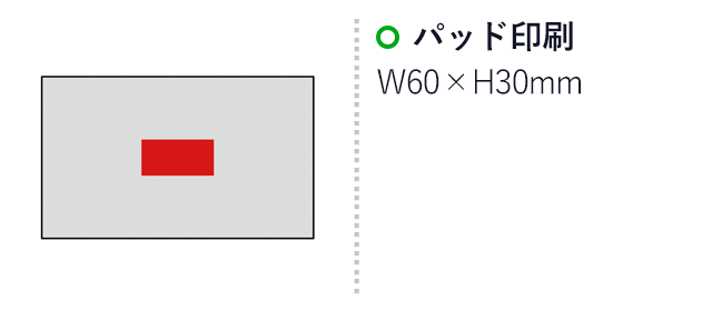 プラチナカラー・ハンカチタオル2Pセット（SNS-0600428）名入れ画像　パッド印刷W60×H30mm