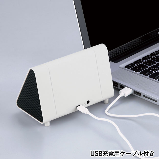 置くだけ簡単スピーカー（SNS-0600643）USB充電用ケーブル付き