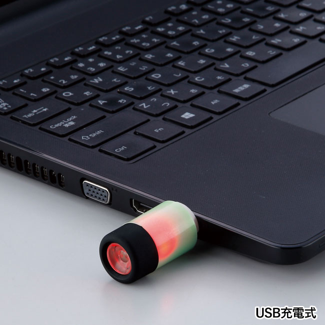 USB充電式蓄光LEDライト（SNS-0600749）トーチライト（LED）