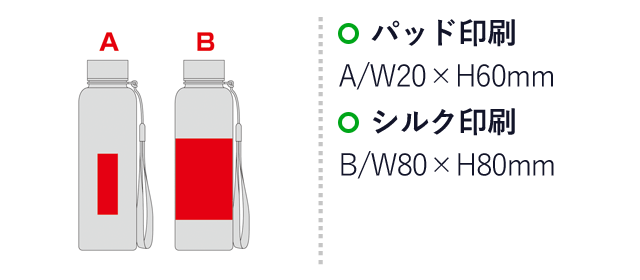 メモリ付きフロスティボトル350ml（ストラップ付き）（SNS-0600882）名入れ画像　パッド印刷　A/W20×H60mm　シルク印刷　B/W80×H80mm