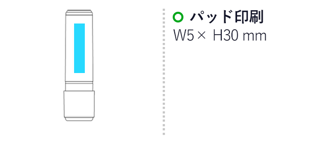 ネーム9/シヤチハタ（XL-9-C）名入れ画像 パッド印刷／本体：W5×H30ｍm
