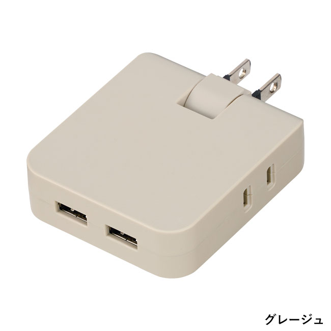 マルチアダプター（2AC＋2USB）（SNS-0900066）グレージュ