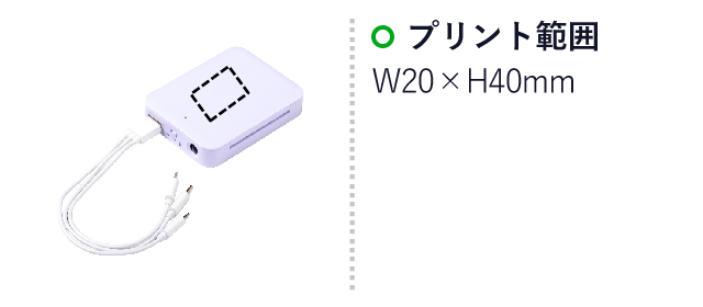 ライトde充電器（SNS-2600005）名入れ画像 プリント範囲W20×H40mm