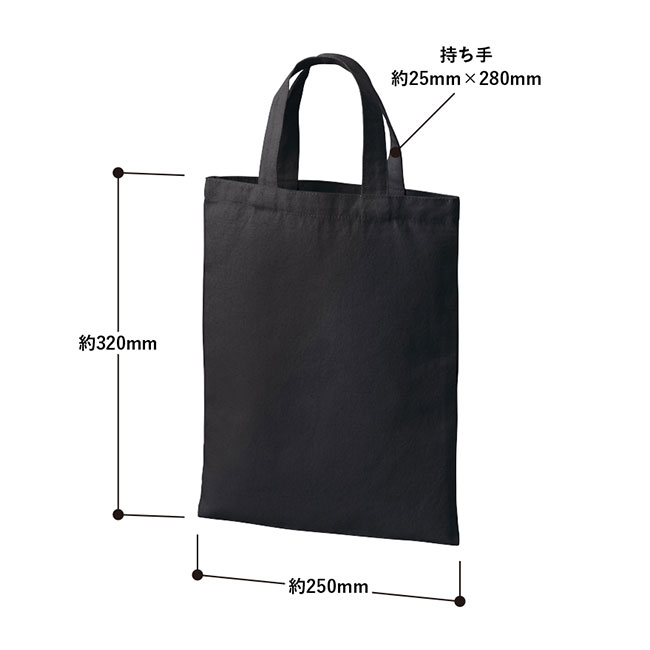 ライトキャンバスフラットバッグ（M）（SNS-0300727）サイズ詳細