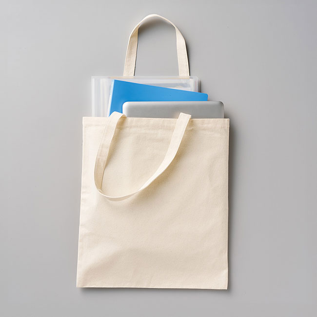 ライトキャンバスフラットバッグ（L）（SNS-0300728）収納イメージ