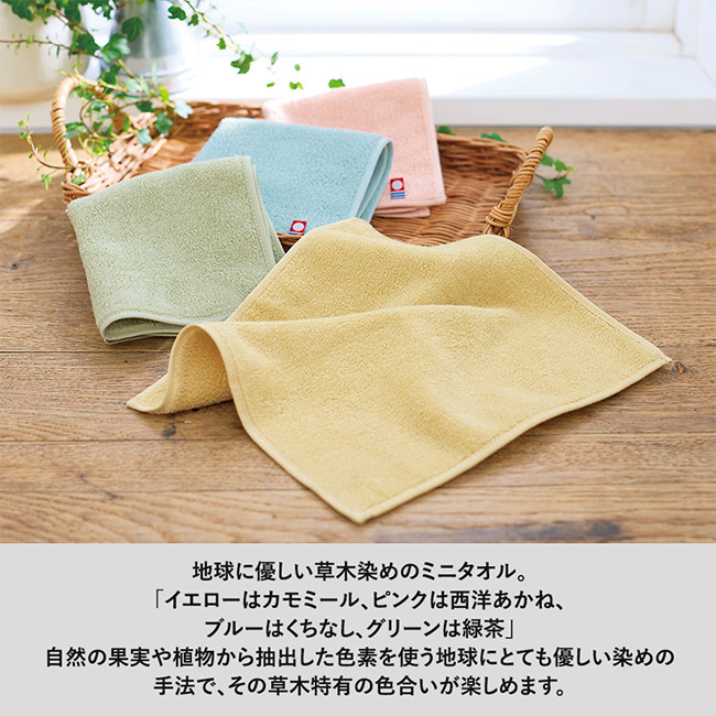 今治草木カラーミニタオル（SNS-0300930）値8級に優しい草木染のミニタオル。