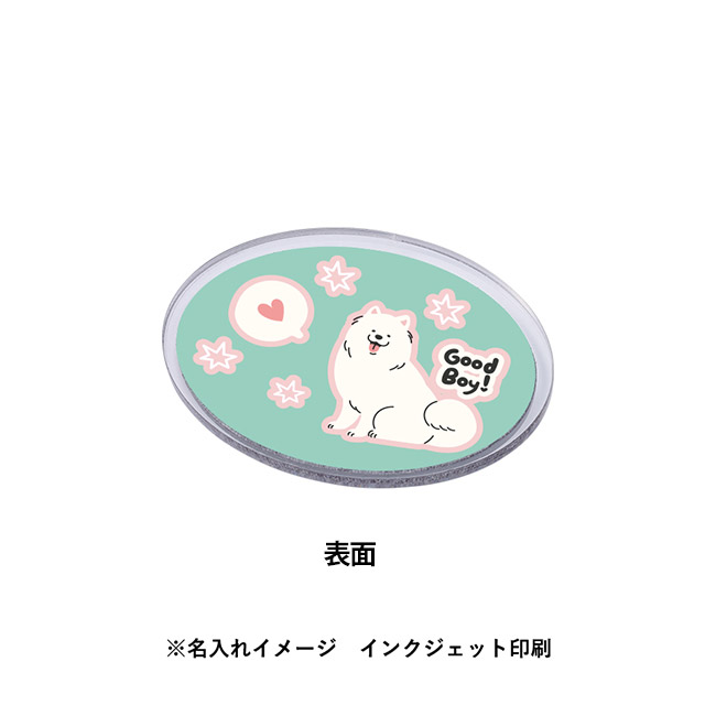 【プリント専用商品】アクリルマグネット　オーバル　クリア（SNS-0300949）名入れイメージ