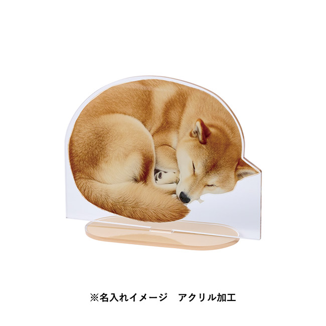 【プリント専用商品】アクリルスタンドワイド１３４×１００ｍｍ　クリア（SNS-0300956）デザインイメージ