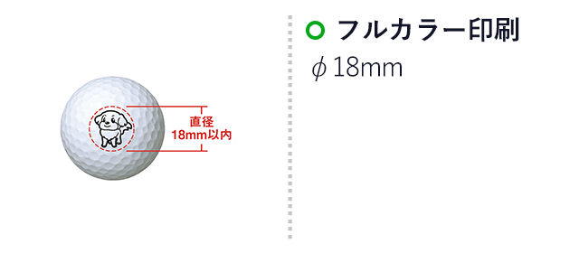 ブリヂストン ゴルフボール TOURB X(3pcs) ホワイト(SNS-0300988)名入れ画像 プリント範囲 インクジェット:φ18(mm)