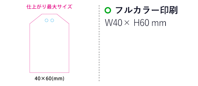 【プリント専用商品】ラメアクリルお守り(S) 3mm クリア(SNS-0301062)名入れ画像 プリント範囲 フルカラー印刷