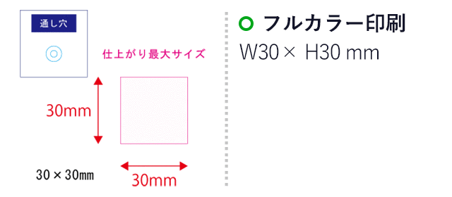 【プリント専用商品】アクリルチャーム30×30mm クリア(SNS-0301072)名入れ画像 プリント範囲 フルカラー印刷