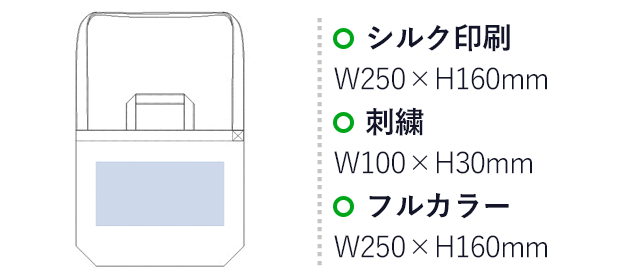 厚手コットンWスタイルバッグ（tTR-0924）名入れ画像 プリント範囲 シルク印刷・フルカラーw250×h160mm