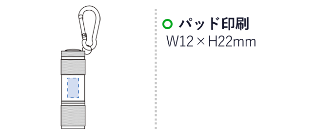 LED9灯カラビナ付ライト（tTS-0629）名入れ画像　パッド印刷：W12×H22mm