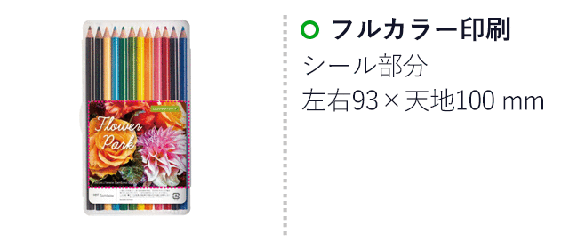 色鉛筆NQ 12色 プラケース入り/トンボ鉛筆（CP-NQ12CX2）｜名入れ