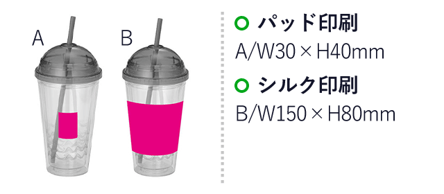 ドームタンブラー（ut2438901）名入れ画像 パッド印刷A/W30×H40mm シルク印刷B/W150×H80mm