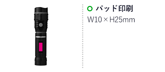 COBパワフルスライドライト（SNS-0700327）名入れ画像　パッド印刷：W10×H25mm