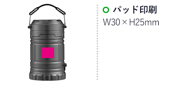 ２ＷＡＹアウトドアライト（SNS-0700417）名入れ画像　パッド印刷：W30×H25ｍｍ