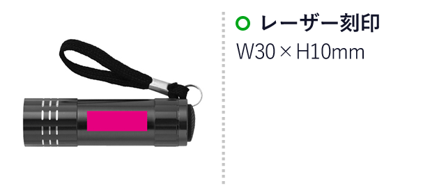 ハンディアルミライト（SNS-0700527）名入れ画像　レーザー刻印：W10×H30ｍｍ