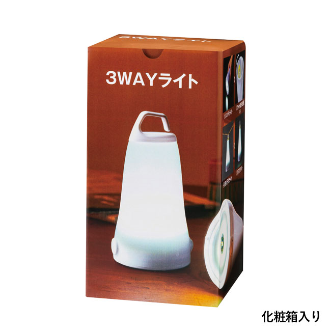 ３ＷＡＹライト（SNS-0700655）化粧箱入り