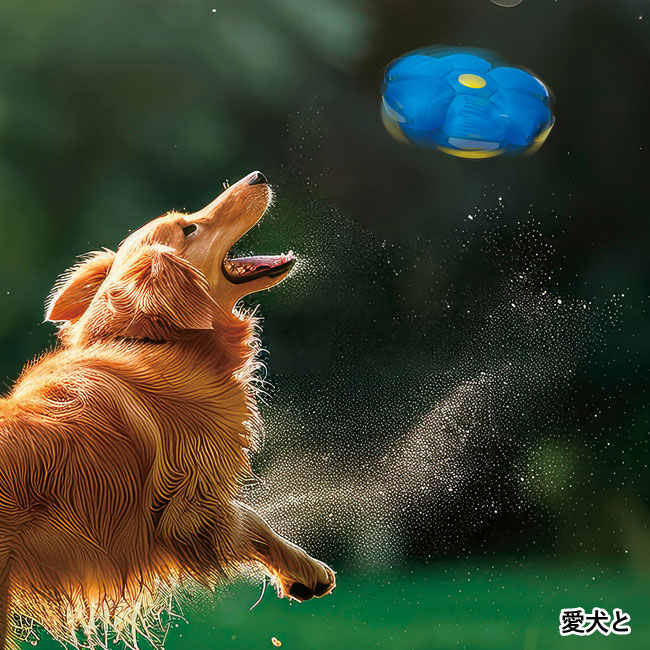 ポンッと弾ける　フライングディスクボール（SNS-0700707）愛犬と
