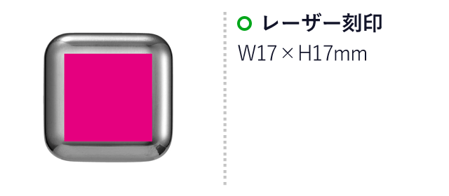 溶けない氷　ステンレスアイスキューブ2個組＃CO2排出権付（SNS-0700727）名入れ画像　レーザー刻印　W17×H17ｍｍ