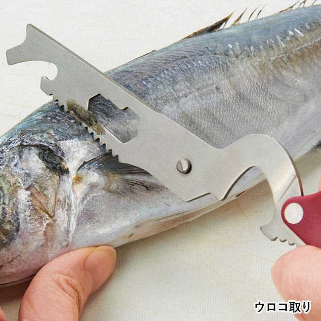 ８in1多機能はさみ（SNS-0700887）ウロコ取り