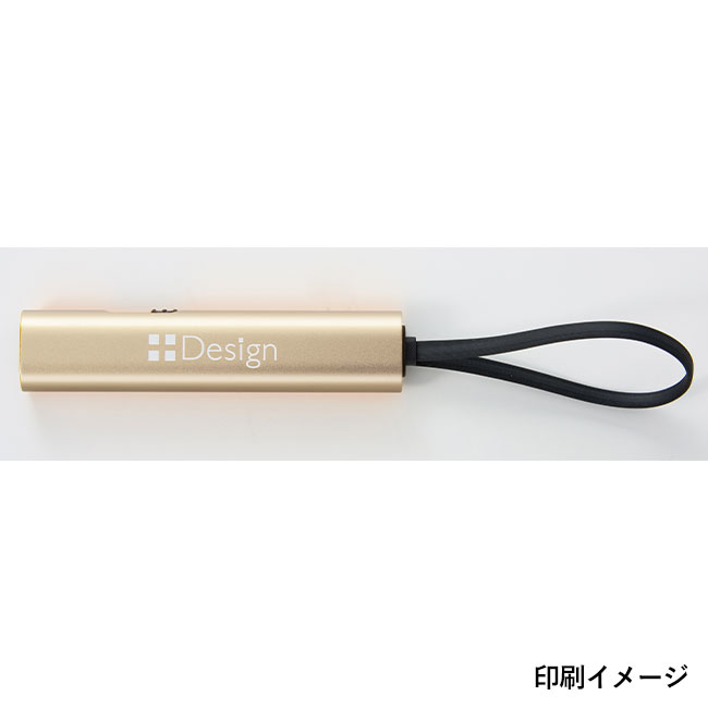3in1充電ケーブル（SNS-0700930）印刷イメージ