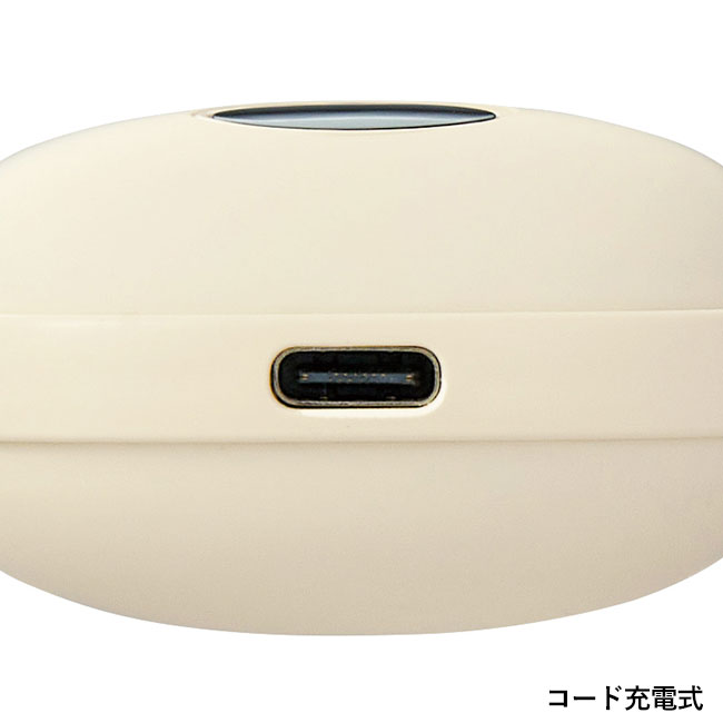充電式カイロ（SNS-0700992）コード充電式