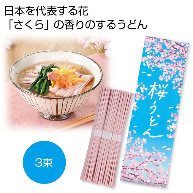 桜うどん3束（SNS-0701025）